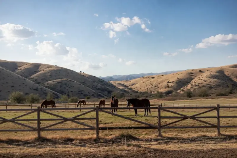 Six horses grazing in a fenced pasture, split-rail wooden fence in foreground, golden Temecula Valley foothills behind