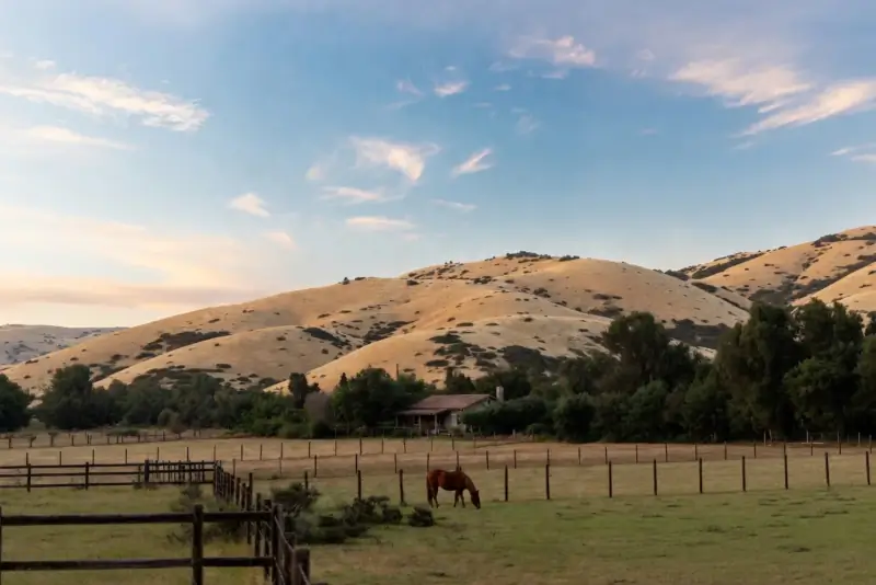 Chestnut horse grazing in a fenced pasture beside a ranch house tucked into oak trees on the Santa Rosa Plateau