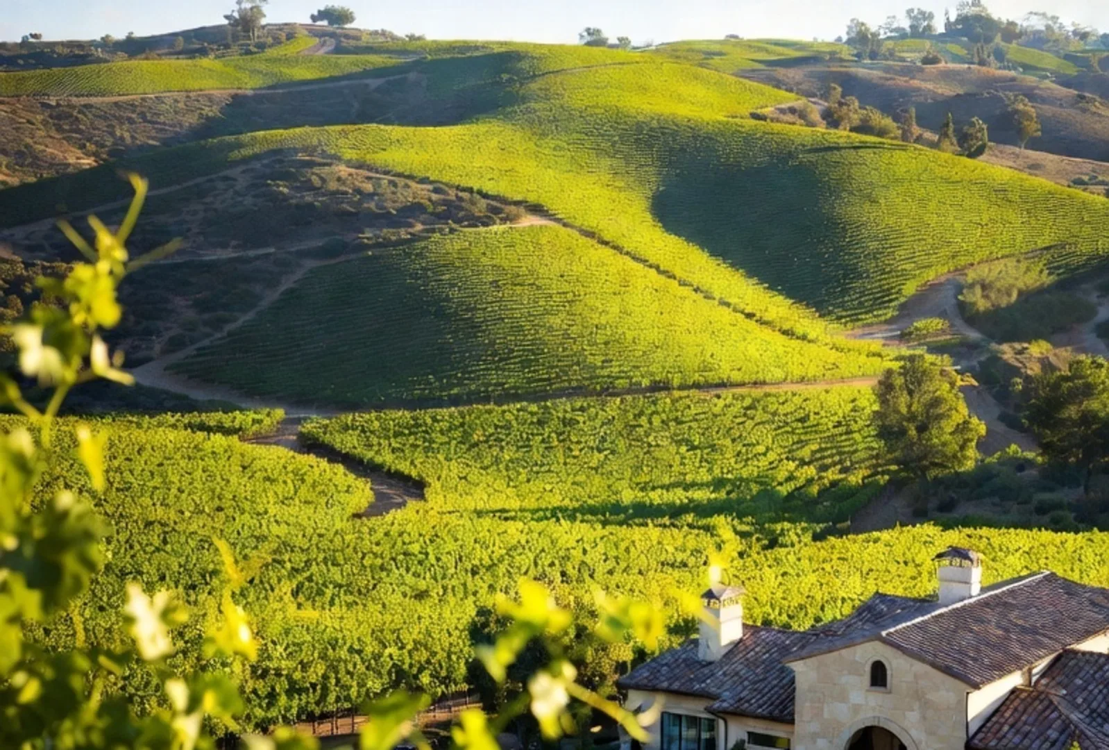 Thinking about Temecula land? Look up any address.